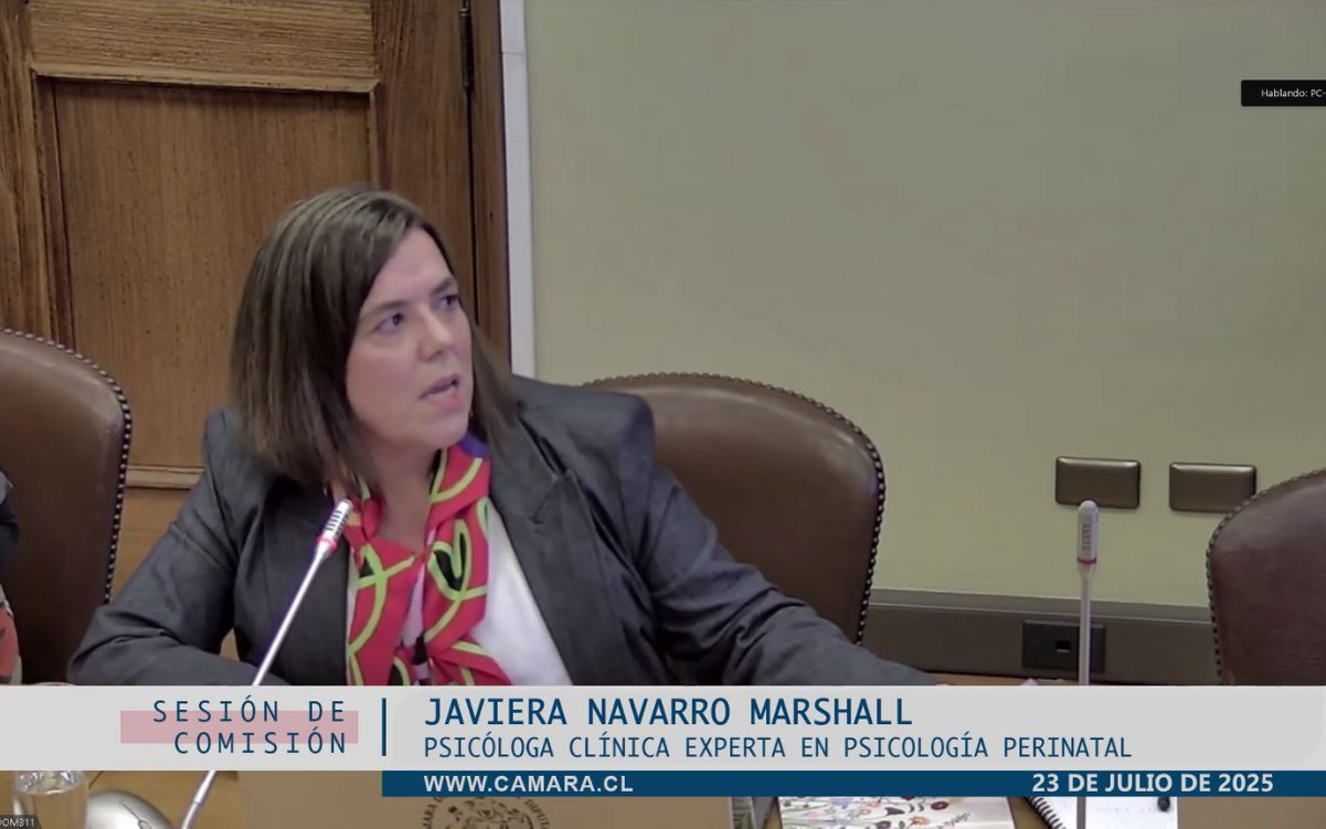 Gestación subrogada: Javiera Navarro expone en la Comisión de Familia de la Cámara de Diputados y Diputadas